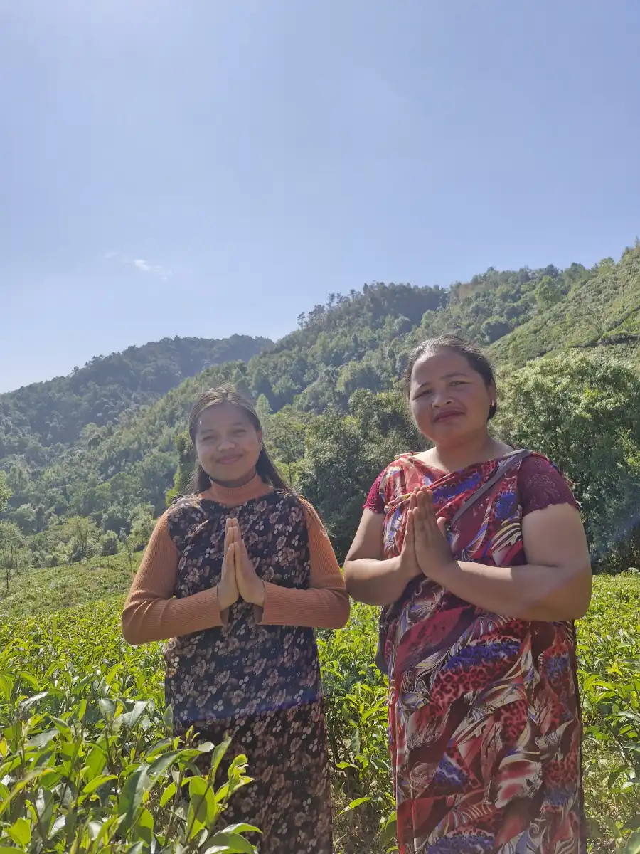 A Tea Garden Journey & Tasting